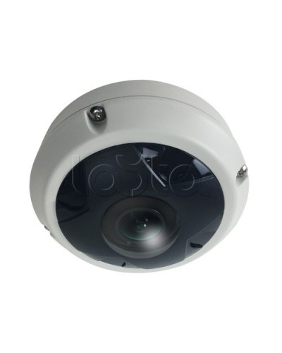 IP-камера видеонаблюдения купольная EverFocus ACE-KU89F в Благовещенске IP-камеры Pintop.ru