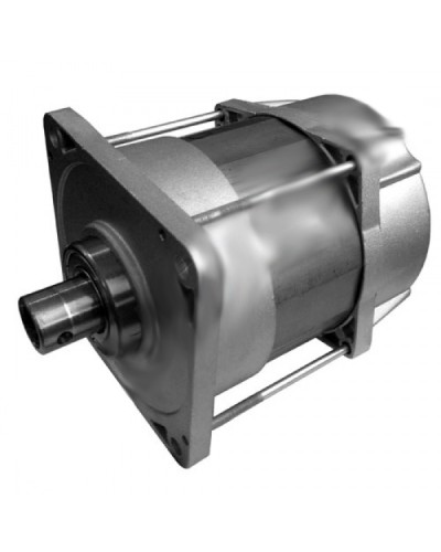 Электродвигатель E1024 Came 119RIE072 в Благовещенске Запчасти для шлагбаумов и автоматики Pintop.ru