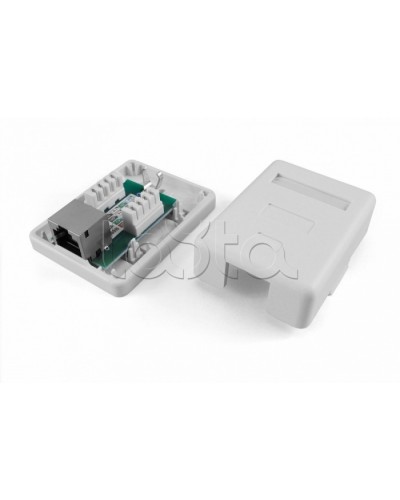 Розетка компьютерная RJ-45(8P8C) Hyperline SB1-1-8P8C-C5e-SH-WH в Благовещенске Розетки компьютерные и телефонные Pintop.ru
