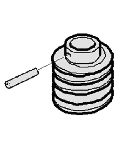 Червяк G2500 Came 119RIG094 в Благовещенске Запчасти для шлагбаумов и автоматики Pintop.ru