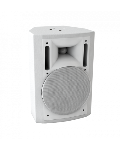 Громкоговоритель настенный Sonar SWM-60W в Благовещенске Система оповещения и трансляции Sonar Pintop.ru