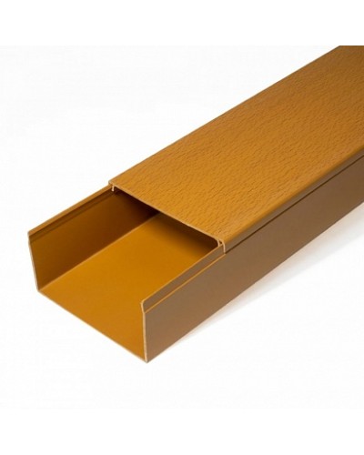 Кабель-канал бук 2-й замок в п/э 80х60 (8 м/уп) Промрукав (PR03.0205) в Благовещенске Огнестойкие кабельные линии Pintop.ru