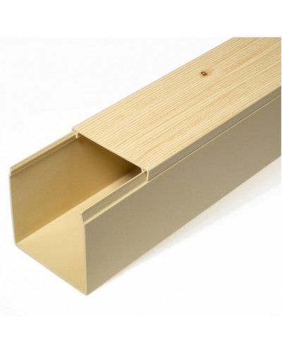 Кабель-канал сосна 2-й замок в п/э 60х60 (12 м/уп) Промрукав (PR03.0188) в Благовещенске Кабель-канал Pintop.ru