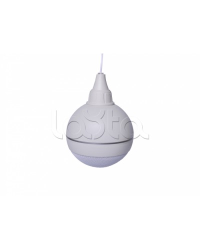 Оповещатель речевой подвесной ТРОМБОН Глагол ПШ-10 в Благовещенске Система оповещения и трансляции Pintop.ru