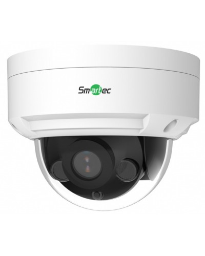 IP-видеокамера Smartec STC-IPM5506A/1 в Благовещенске IP-камеры Pintop.ru