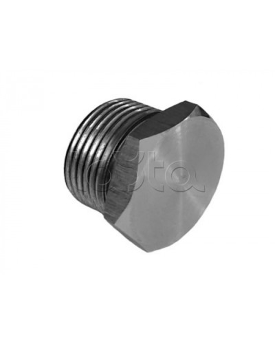 Металлическая резьбовая заглушка взрывозащищённая Магнито-контакт Ех-заглушка ВЗ 01 М Н (под Ø 16) 1Ex d IIС Gb/PB Ex d I Mb или Ex tb IIIС Db или 0Ex ia IIC Ga или 1Ex e IIС Gb в Благовещенске Дополнительное оборудование (Ex) Pintop.ru