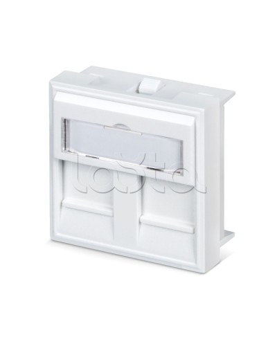 Вставка 45x45 (аналог Mosaic) для 2 модулей формата Keystone Jack Cabeus FP-45-2M в Благовещенске Модули Keystone Pintop.ru