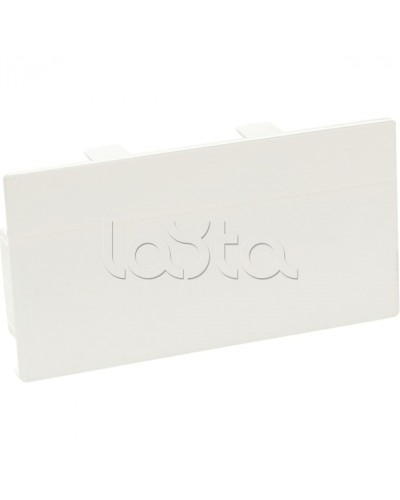 Заглушка торцевая для кабельного канала 100х50 SPL 100002S в Благовещенске Аксессуары для кабель-канала Pintop.ru