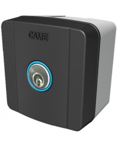Ключ-выключатель накладной Came 806SL-0010 в Благовещенске Автоматизация ворот Pintop.ru