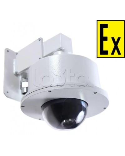 Видеокамера взрывозащищенная Компания СМД Орион МК PTZ- С-220В в Благовещенске Взрывозащищенные камеры Pintop.ru