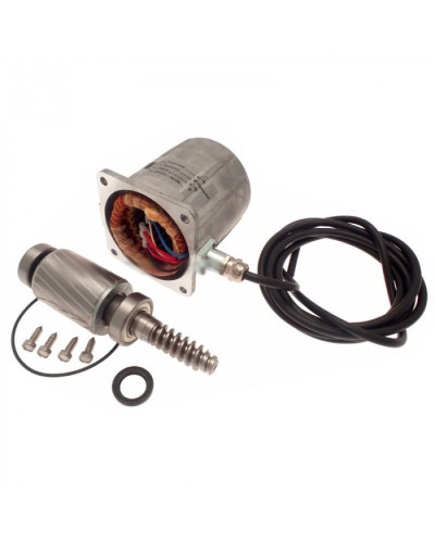 Электродвигатель FROG-A в сборе Came 119RIA061 в Благовещенске Запчасти для шлагбаумов и автоматики Pintop.ru