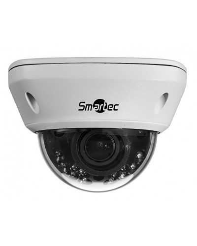 IP-камера видеонаблюдения купольная Smartec STC-IPM5591/1 в Благовещенске IP-камеры Pintop.ru