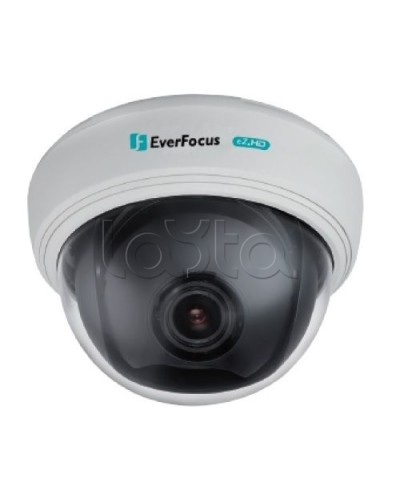 AHD-камера видеонаблюдения купольная EverFocus ED-910F в Благовещенске Аналоговые камеры Pintop.ru