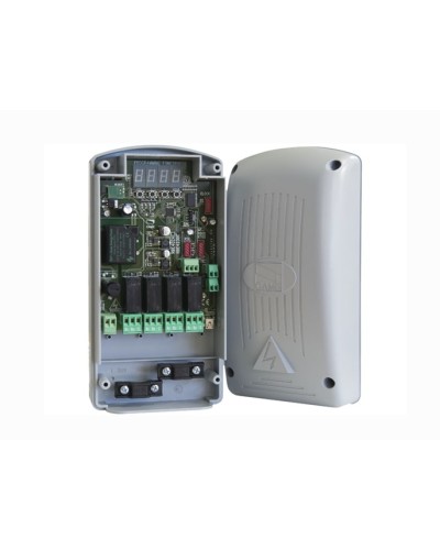 Радиодекодер Came 806RV-0010 в Благовещенске Запчасти для шлагбаумов и автоматики Pintop.ru