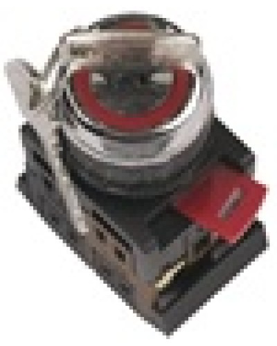 Переключатель AKS-22 с ключом на 2 фиксир.положения I-O 1з+1р черный IEK BSW10-AKS-2-K02 в Благовещенске Аксессуары для стоек и шкафов Pintop.ru