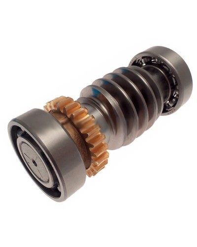 Червяк FROG Came 119RIA016 в Благовещенске Запчасти для шлагбаумов и автоматики Pintop.ru