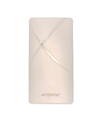 Считыватель AccordTec AT-PR500EM GR в Благовещенске Считыватели Pintop.ru