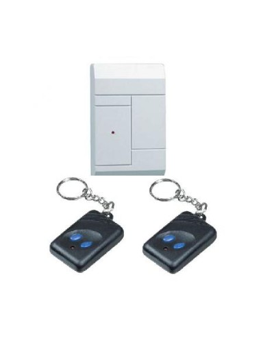 Комплект приёмник RR-1R + 2 брелока RFG-1 Альтоника Риф Ринг RR-1 в Благовещенске Радиоканальные системы безопасности Pintop.ru