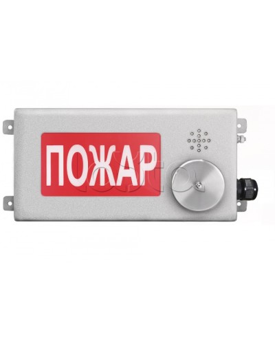 Табло светозвуковое взрывозащищенное Спектрон ТСЗВ-Exi-Н-Прометей-МИНИ 12-36В в Благовещенске Оповещатели Ex Pintop.ru