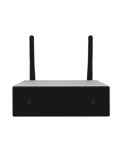 Усилитель потоковой передачи WIFI DSPPA DW-0250 в Благовещенске Система оповещения и трансляции Dsppa Pintop.ru