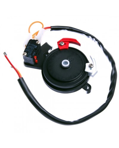 Концевые микровыключатели в сборе BX-243 Came 119RIBX041 в Благовещенске Запчасти для шлагбаумов и автоматики Pintop.ru