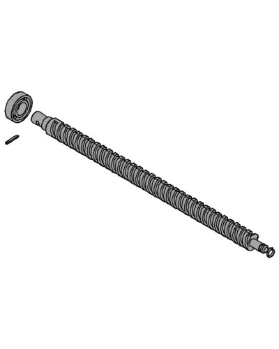 Винт ходовой AX302304, AX3024, АХ402306, AX412306 Came 119RID319 в Благовещенске Запчасти для шлагбаумов и автоматики Pintop.ru