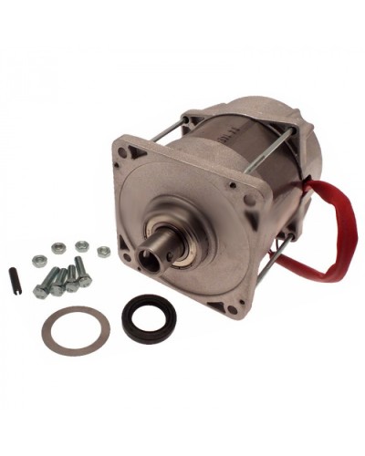 Электродвигатель FERNI Came 119RID087 в Благовещенске Запчасти для шлагбаумов и автоматики Pintop.ru