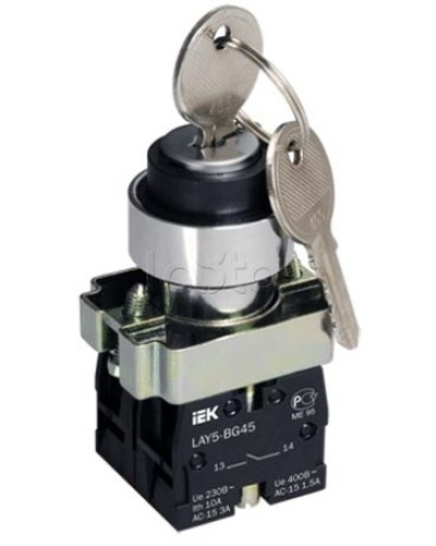 Переключатель LAY5-BG45 на 2 положения с ключом без фиксации IEK BSW80-BG-2-K02 в Благовещенске Аксессуары для стоек и шкафов Pintop.ru