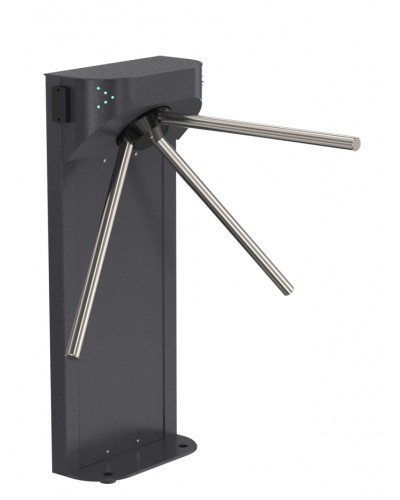 Проходная электронная Ростов-Дон АП Т83М1 IP (Matrix II MF) (0852-03) в Благовещенске Турникеты Pintop.ru