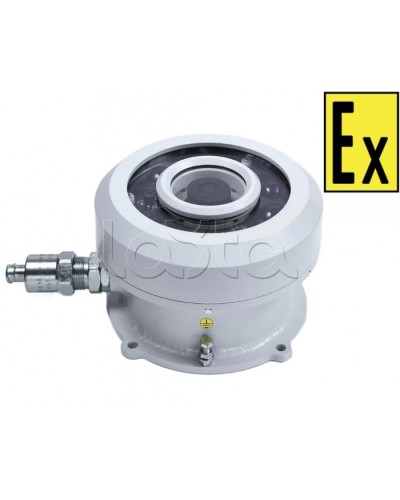 Видеокамера взрывозащищенная Компания СМД Орион МК ВК FishEye-Н в Благовещенске Взрывозащищенные камеры Pintop.ru