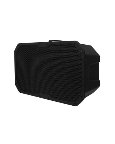 Акустическое устройство DSPPA LRAS-1830 в Благовещенске Система оповещения и трансляции Dsppa Pintop.ru