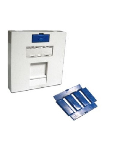 Вставка 45x45 на 1 кейстоун, угловая, со шторкой, маркировкой и иконками, белая LANMASTER LAN-SIP-23A-WH в Благовещенске Аксессуары для кабель-канала Pintop.ru