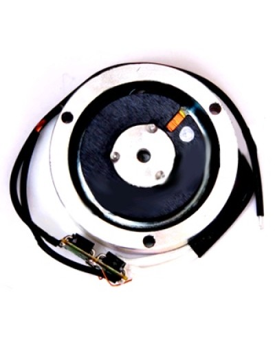 Электромагнит BY1500T Came 119RIY034 в Благовещенске Запчасти для шлагбаумов и автоматики Pintop.ru