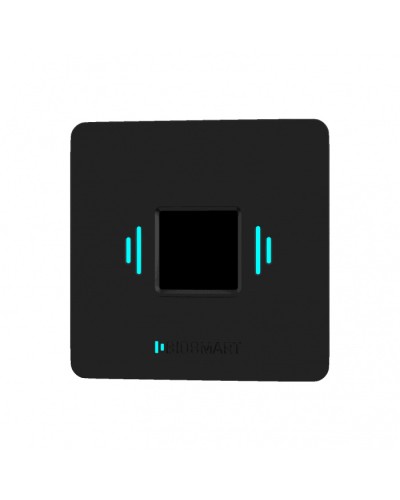 Считыватель вен ладоней BioSmart PALMJET BOX (крепление на плоскость) в Благовещенске Считыватели Pintop.ru