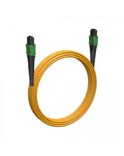 Кабельная сборка MPO(F) -MPO(F)-12 волокон 9/125 OS2, 2 m Cabeus (FOP-9-12-MPO(F)-12-MPO(F)-B-2m) в Благовещенске Кабельные сборки (оптические) Pintop.ru