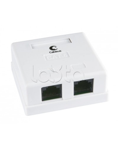 Розетка компьютерная RJ-45(8P8C), категория 6, двойная, внешняя, Krone type Cabeus WS-8P8C-Cat.6-2 в Благовещенске Розетки компьютерные и телефонные Pintop.ru