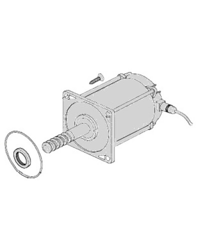 Электродвигатель Came 119RIA025 в Благовещенске Запчасти для шлагбаумов и автоматики Pintop.ru