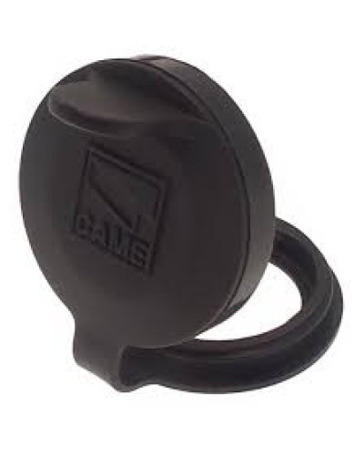 Защита целиндра замка A4366 Came 119RIA051 в Благовещенске Запчасти для шлагбаумов и автоматики Pintop.ru