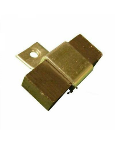 Магнит FROG AE Came 119RIA083 в Благовещенске Запчасти для шлагбаумов и автоматики Pintop.ru