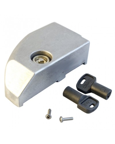 Дверца замка разблокировки BK Came 119RIBK012 в Благовещенске Запчасти для шлагбаумов и автоматики Pintop.ru