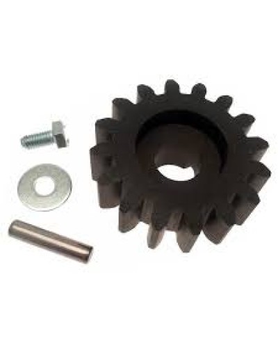 Шестерня для цепной передачи Came 119RIBK036 в Благовещенске Запчасти для шлагбаумов и автоматики Pintop.ru