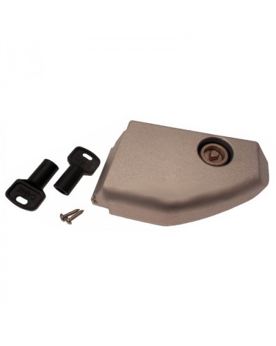 Дверца разблокировки с замком BX Came 119RIBX008 в Благовещенске Запчасти для шлагбаумов и автоматики Pintop.ru