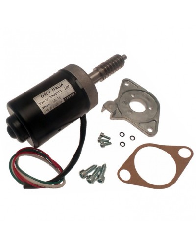 Электродвигатель BX-243 в сборе Came 119RIBX046 в Благовещенске Запчасти для шлагбаумов и автоматики Pintop.ru