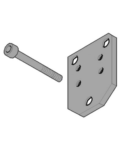 Пластина монтажная FLEX Came 119RID143 в Благовещенске Запчасти для шлагбаумов и автоматики Pintop.ru