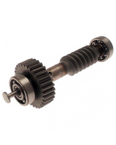 Червяк редуктора FAST в сборе Came 119RID228 в Благовещенске Запчасти для шлагбаумов и автоматики Pintop.ru