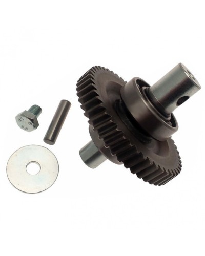 Шестерня редуктора FAST в сборе Came 119RID229 в Благовещенске Запчасти для шлагбаумов и автоматики Pintop.ru