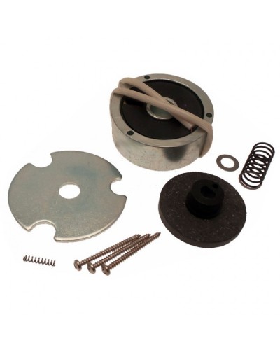 Электромагнит AMICO в сборе Came 119RID274 в Благовещенске Запчасти для шлагбаумов и автоматики Pintop.ru