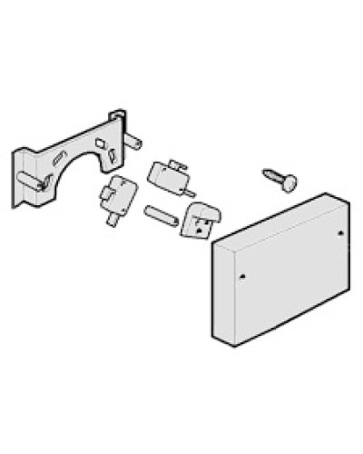 Микровыключатели G4000, G3750 Came 119RIG040 в Благовещенске Запчасти для шлагбаумов и автоматики Pintop.ru