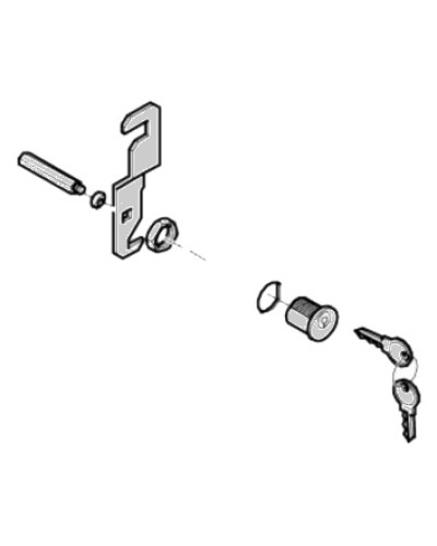 Замок дверцы G4040 G4041 Came 119RIG176 в Благовещенске Запчасти для шлагбаумов и автоматики Pintop.ru