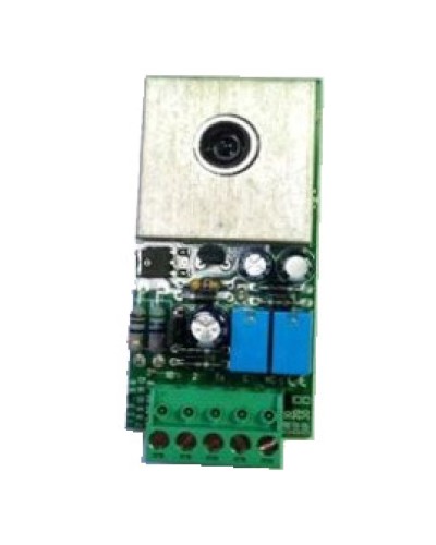 Плата RX DIR10 Came 119RIR137 в Благовещенске Запчасти для шлагбаумов и автоматики Pintop.ru